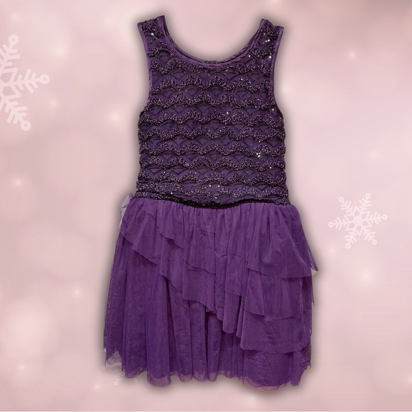 Nanette Lepore Other - Nanette Lapore Young Girls Purple Sparkle Lace & Ruffle Party Dress Size 16 XL
